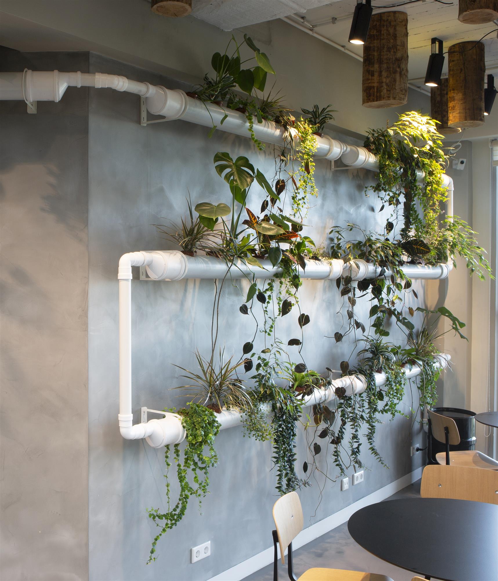 Tubegarden i rør med hengende planter