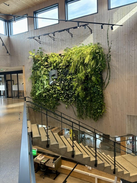 Plantevegg i atrium med trapp