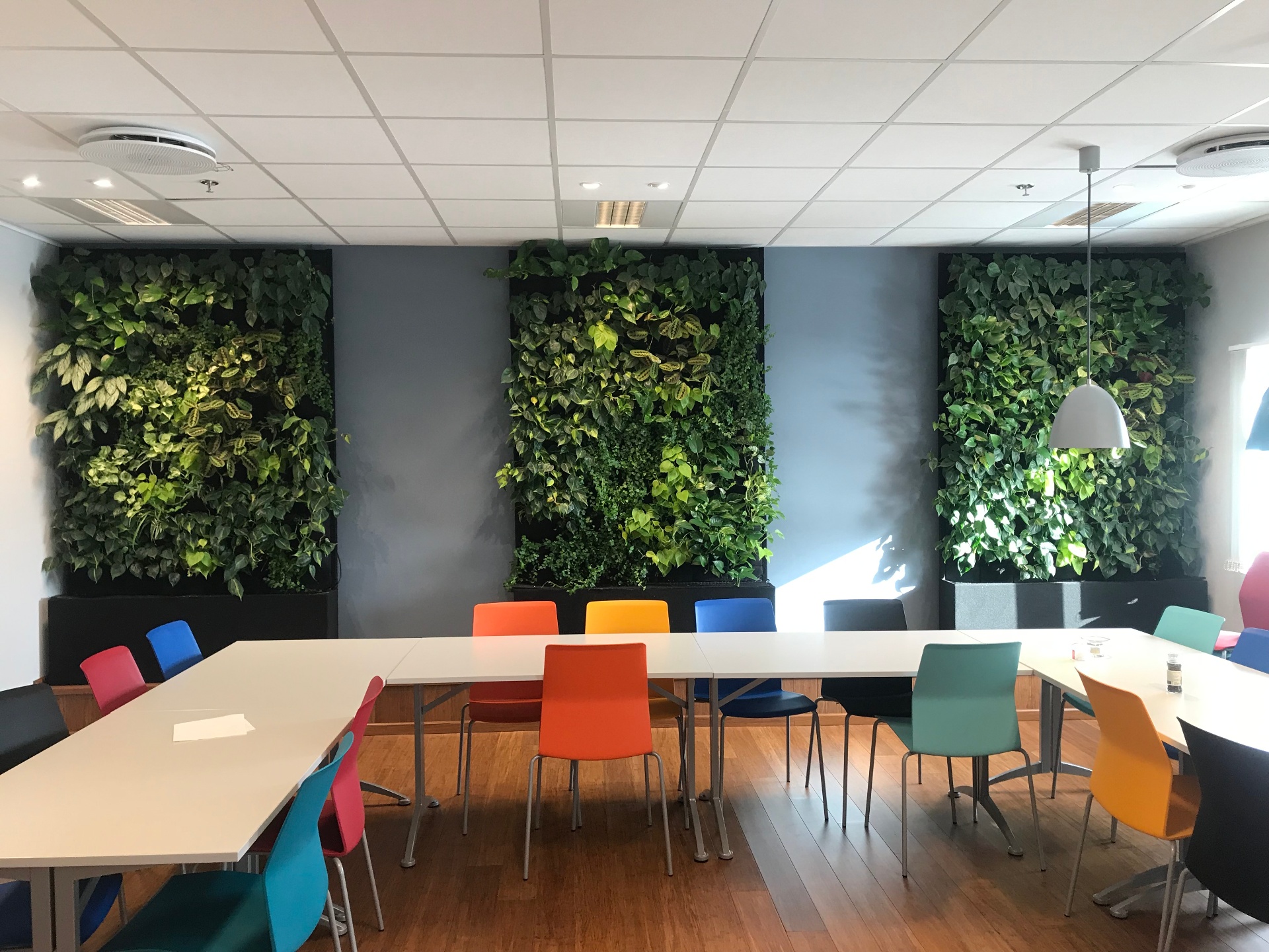 Plantevegger i møterom med fargerike stoler